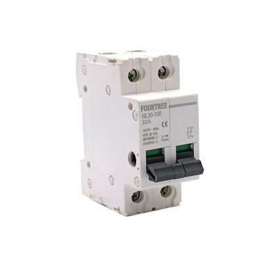 NIXCON 2P Main Switch HL30 Isolating Circuit Breaker Household Function Disconnector Isolator 32A 63A 100A (Color : 2p, Size : 40A)