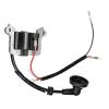 Gasoline Brush Cutter Parts Ignition Coil for Grass Cutter Engine 40-5 44-5 40F-5 44F-5 view 2