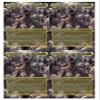 4x | Sliver Legion #2 - Horror | Anime | Full Art | Foil or Non-Foil (Non Foil) view 1