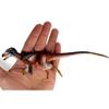 Beasts of The Mesozoic: Eotyrannus Lengi - 1/18th Scale Dinosaur Action Figure - 8" Articulated Collectible, Posing Rod & Display Base, Tyrannosaurus view 4