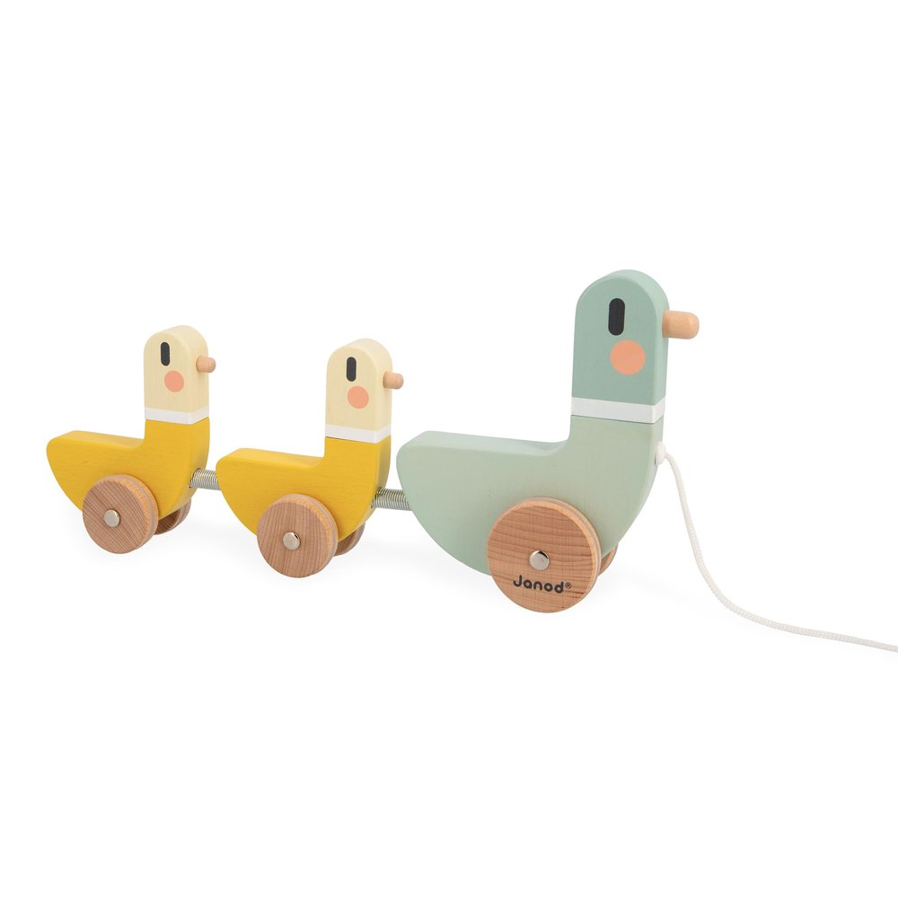 Janod - J04051 - 3 Sweet Cocoon Pulling Ducks - Develops Motor Skills - FSC Wood Toy and Water Paint - From 12 Months, Green/Yellow