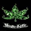 212 Main 2446-16x20-AL High Life Poster view 1