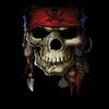 212 Main 1976-16x20-SD Skull Pirate Poster view 1
