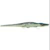 212 Main Collectible Tin Toy - Crocodile view 1