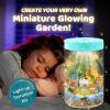 AluAbi Light Up Dinosaur Terrarium Kit for Kids,Educational Science Kits,Gardening Kits Science Activities for Boys & Girls,DIY Creative Dinosaur Toys,Arts and Crafts Kit Gifts for Ages 4 5 6 7 8-12 view 3