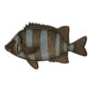 KAJIKAWA Vintage FISH PINS Saltwater Fish Fish Pin Badge view 1