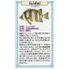KAJIKAWA Vintage FISH PINS Saltwater Fish Fish Pin Badge view 2