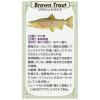 KAJIKAWA Vintage FISH PINS Freshwater Fish Brown Trout Pin Badge view 2