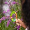 moses. Crawling Beetle Large Handheld Magnifying Glass, Practical Outdoor Magnifying Glass for Children, Extra Large Magnifying Glass with 3x and 5x Magnification, Perfect for Plant Insect and Animal view 2