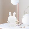 Abaodam Bunny Piggy Bank DIY Paintable Rabbit Coin Bank for Kids 6.7 Inch Creative Money Box for Birthday Easter and Home Decor view 4