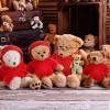 6 PCS Christmas Stuffed Bear Clothes Tee Shirt Red Sublimation Plush Bear Shirts Classic Stuffed Animal Bear T Shirts Hoodie 14-18 Inches Stuffed Bear Dolls view 4