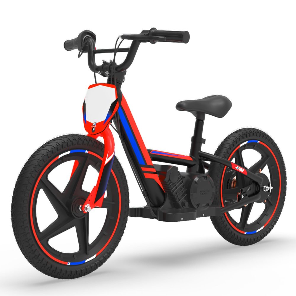 Electric Dirt Bike for Kids Ages 5-8, 340W Motorcycle with 16-Inch Tires