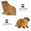 LIFKOME Groundhog Figurine Realistic Wildlife Animal Figure Desktop Decoration Cake Topper 3 Inch Simulation Groundhog Model for Home Nursery School view 2