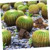 Vaguelly 4pcs Miniature Fairy House Decorations Tiny Landscape Ornaments for Home Office and Garden Versatile Bonsai Accessories for Terrariums and Micro Landscapes view 3