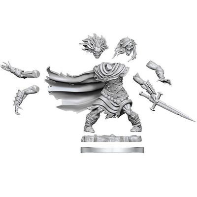 212 Main Dungeons & Dragons Frameworks Wave 1 Wight Miniatures