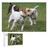 1000 PCS Jigsaw Puzzle for Adults Personalized Picture Puzzle Dogs Playing On The Lawn Customized Wooden Puzzle for Family, Birthday, Wedding, Game Nights Gifts Animal Puzzle view 1
