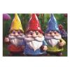 1000 PCS Jigsaw Puzzle for Adults Personalized Picture Puzzle Colorful Gnomes Customized Wooden Puzzle for Family, Birthday, Wedding, Game Nights Gifts Animal Puzzle view 3
