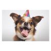 1000 PCS Jigsaw Puzzle for Adults Personalized Picture Puzzle Funny Dog Customized Wooden Puzzle for Family, Birthday, Wedding, Game Nights Gifts Animal Puzzle view 3