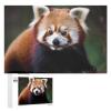 1000 PCS Jigsaw Puzzle for Adults Personalized Picture Puzzle Animal Red Panda Customized Wooden Puzzle for Family, Birthday, Wedding, Game Nights Gifts Animal Puzzle view 1