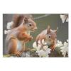 1000 PCS Jigsaw Puzzle for Adults Personalized Picture Puzzle Squirrels Customized Wooden Puzzle for Family, Birthday, Wedding, Game Nights Gifts Animal Puzzle view 3