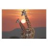 1000 PCS Jigsaw Puzzle for Adults Personalized Picture Puzzle Giraffe at Sunset Customized Wooden Puzzle for Family, Birthday, Wedding, Game Nights Gifts Animal Puzzle view 3