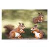 1000 PCS Jigsaw Puzzle for Adults Personalized Picture Puzzle Cute Squirrels Customized Wooden Puzzle for Family, Birthday, Wedding, Game Nights Gifts Animal Puzzle view 3