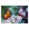 1000 PCS Jigsaw Puzzle for Adults Personalized Picture Puzzle Beautiful Butterflies Customized Wooden Puzzle for Family, Birthday, Wedding, Game Nights Gifts Animal Puzzle view 3