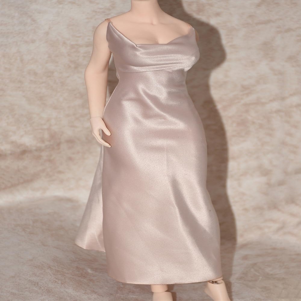 1/6 Scale Female Clothes,Female Silk Dress Long Skirt Slip Dress Clothing for 12inch PH TBL JO Worldbox Action Figure Body (Champagne)