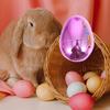 Alipis Bright Easter Egg: 24pcs Fillable Easter Eggs - Basket Stuffers Fillers for Easter Hunt 2.16 X 1.57 Inch view 4