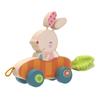 Bunny Pippa Push and Pull Toy | 10+ Months | Beech Wood | Size 7" x 6" x 2.5" | Fine Motor Skills | Playtales Included | view 1