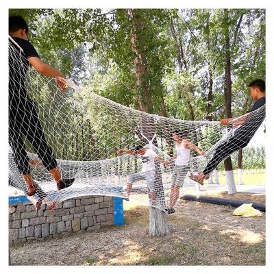 Multiple Sizes Child Safety Net,Stairs Balcony Protection Net,10X10cm Mesh Rope Net,White Anti Fall Net Safety Rope Net Garden Plant Nets,Indoor Wall Decor Net Guardrail Net ( Color : 6mm-10cm Mesh ,