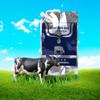 Eeneme Food Grade 4L Calf Colostrum Packaging Storage Colostrum Fresh Refill Service Cold Storage Bag Colostrum Filling Storage Bag view 2