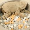 TRENDPLAY Star Ball Pit Balls for Toddlers - 200 Count Star Balls Different Shapes, Non-Toxic Plastic Balls for Safe Play, Boys Girls Festival Party Decoration, Milktea Gray view 2