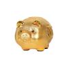 Money Box Piggy Bank Household Deposit and Withdrawal Change Box Girl Boy Gold Pig Decoration Money Box Children's Toy Gift Piggy Bank Savings Bank view 1