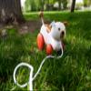 Jack Rabbit Creations- Wiggles The Dog Wooden Pull Toy- Classic Retro Dog Toy for Toddlers- Durable Wooden Construction- Smooth Rolling Wheels- Encourages Imaginative Play-18 Months+ view 4