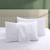 100% Egyptian Cotton Zippered Toddler Pillowcases Set of 2, 600 Thread Count Small Pillow Cases, Super Soft and Breathable Pillow Protector, 13x18 Inches (White, Toddler) view 1