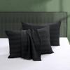 100% Egyptian Cotton Zippered Toddler Pillowcases Set of 2, 600 Thread Count Small Pillow Cases, Super Soft and Breathable Pillow Protector, 13x18 Inches (Stirpe Black, Toddler) view 1