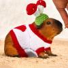 Clysee 10 Pcs Guinea Pig Clothes, 5 Guinea Pig Costume Outfit, 5 Mini Hat with Adjustable Strap Small Animal Warm Vest Sweater Cozy Hand Knitted Hat for Hamster Bunny(Cute Style) view 4