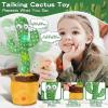 JAKCJFII Dancing Talking Cactus Baby Toys Boy Girl Gifts, Singing Mimicking Recording Toys Repeats What You Say, Comes with 120 English Songs Singing Talking Musical Toy (Non-Rechargeable) view 2