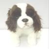 Springer Spaniel 12" Plush Toy Dog Plushie Can Be Personalized & Customized With An Engraved Tag, Collar and Stunning Gift Wrap view 2