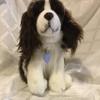 Springer Spaniel 12" Plush Toy Dog Plushie Can Be Personalized & Customized With An Engraved Tag, Collar and Stunning Gift Wrap view 3