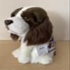 Springer Spaniel 12" Plush Toy Dog Plushie Can Be Personalized & Customized With An Engraved Tag, Collar and Stunning Gift Wrap view 4