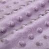 2 Pack Baby Blanket Super Soft Double Layer Minky with Dotted Backing for Girls, Receiving Blanket with Elegant Purple Floral Printed Blanket view 4
