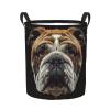 Foruidea Bulldog Face Laundry Basket,Laundry Hamper,Collapsible Storage Bin, Oxford Fabric Clothes Baskets,Nursery Hamper For Home,Office,Dorm,Gift Basket view 1