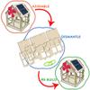 Kit4Curious Solar Home DIY kit II Wooden 3D Model Assembling, Solar Panel Connection and Coloring kit II Build  Dismantle - Rebuild view 2