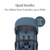 Inglesina Quid 2 Stroller - Manta Blue - Ultra Compact Lightweight Travel Stroller for Babies and Toddlers, Airplane Overhead, Foldable, Reclining Seat, Collapsible Canopy, 3 Months - 50 lbs, BPA Free view 2