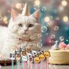 30 Pcs Bubbles Party Favors Mini Bubble Wands Tube Bulk Theme Maker Goodie Bags Stuffer Prizes Birthday Gift for Solution(Cat) view 4