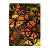 500 Piece Jigsaw Puzzle for Adults Personalized Picture Puzzle Monarch Butterflies Customized Wooden Puzzle for Family, Birthday, Wedding, Game Nights Gifts, 20.4"x15" view 1
