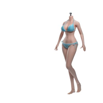1/6 Scale Female Body,12inch TBLeague Super Flexible Anime Girl Large Bust Seamless Action Figure Body Collection (S36A Pale Skin Without Head)
