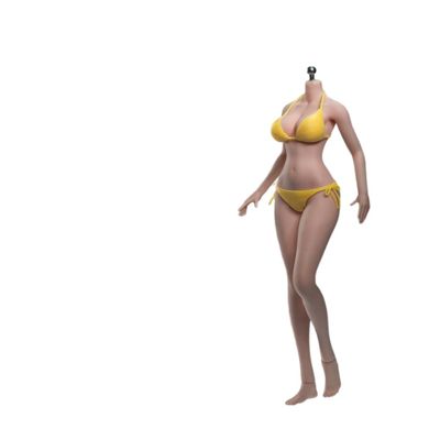 1/6 Scale Female Body,12inch TBLeague Super Flexible Anime Girl Large Bust Seamless Action Figure Body Collection (S37A Pale Skin Without Head)